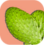 Nopal Cactus